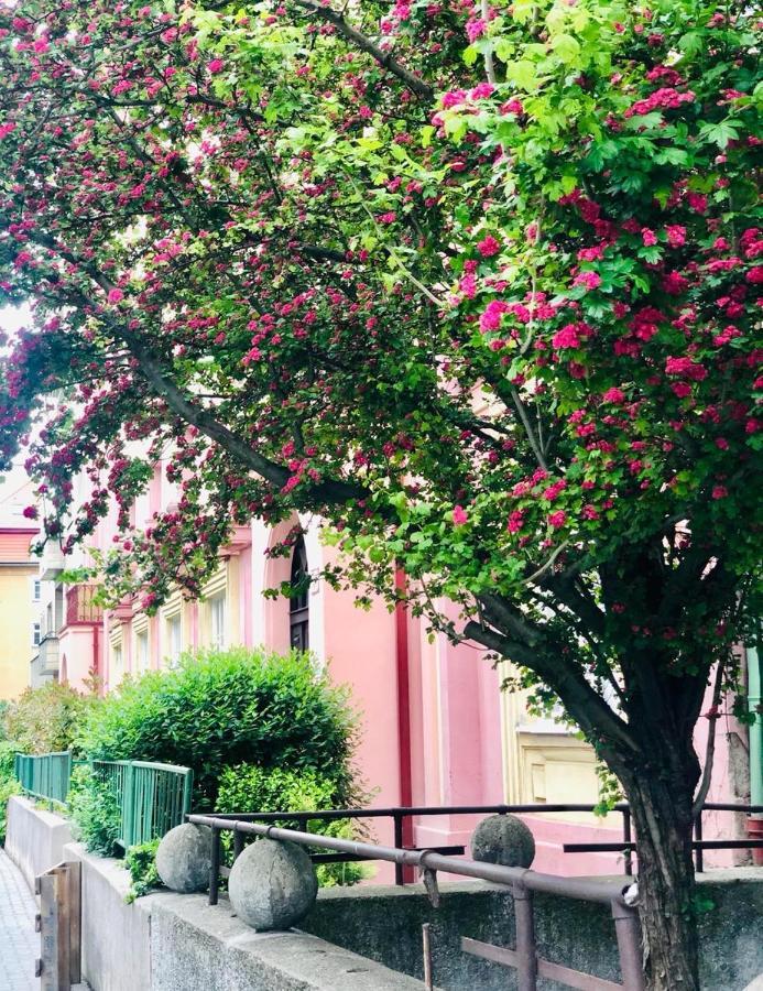 Klemensova * Bratislava
